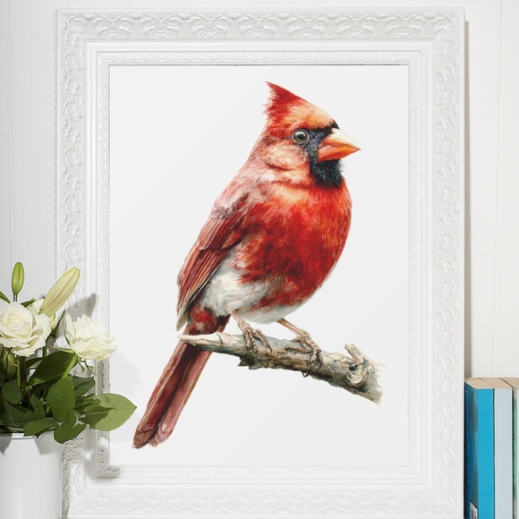 Watercolor Red Cardinal Bird Portrait Wall Art Print Unframed - Picture 6 of 6